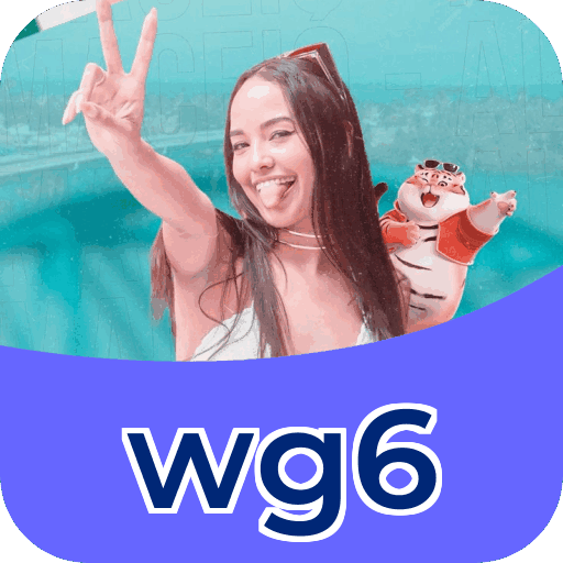 wg6 - Tempos de saque PIX verificados e estatísticas de pagamento